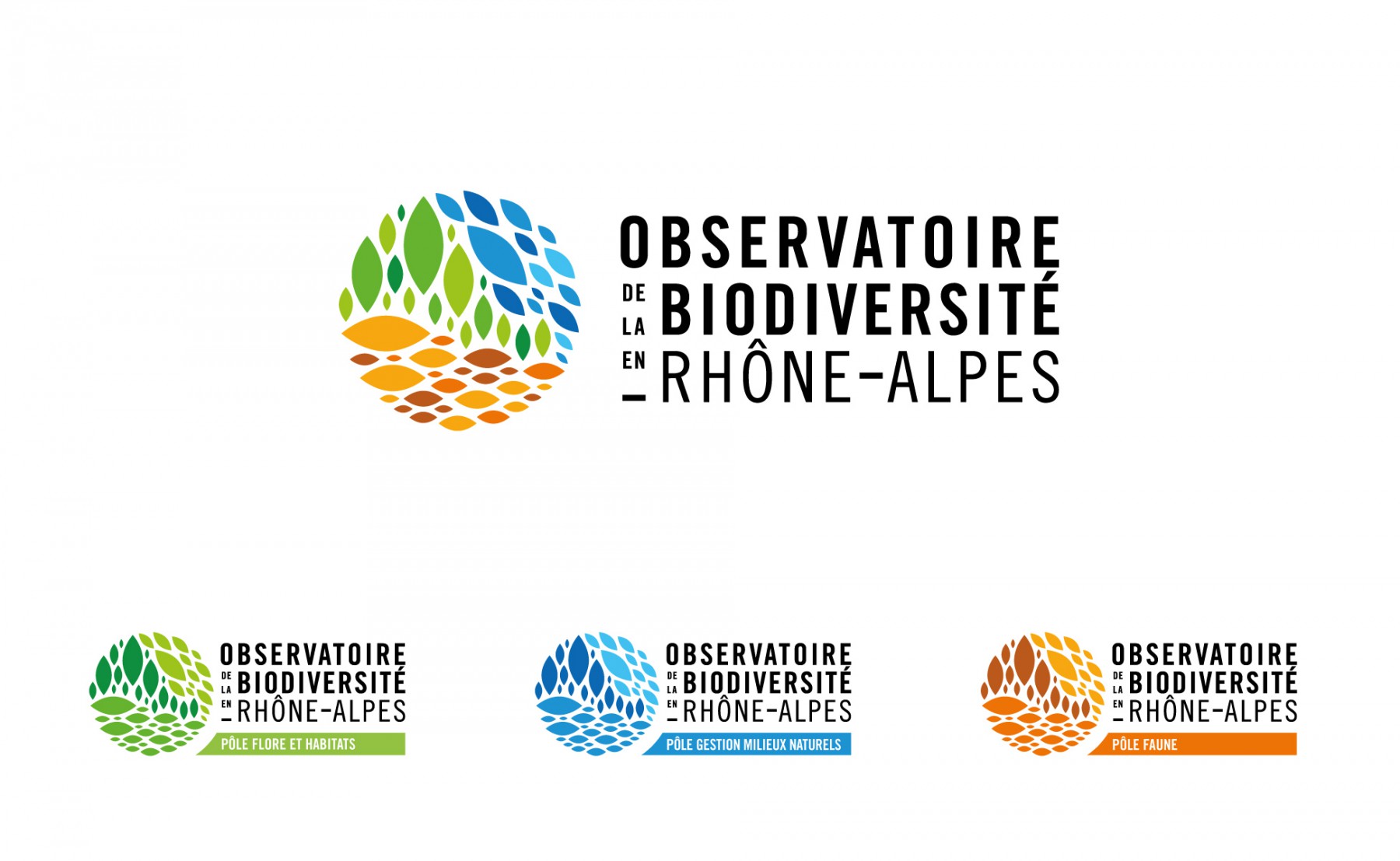 Branding for biodiversity organisation