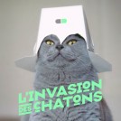 Lolcats dans la communication