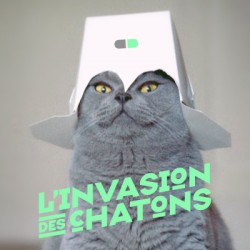 Lolcats dans la communication