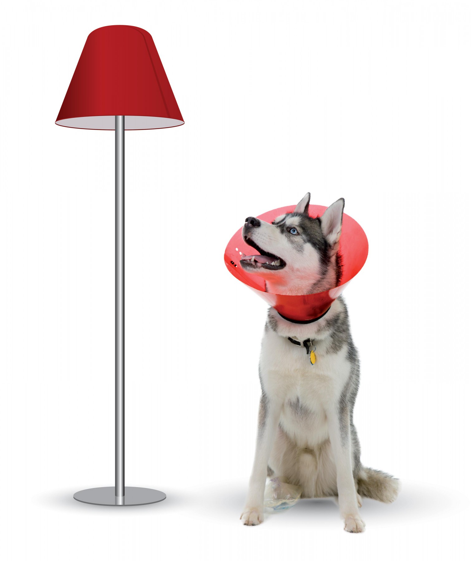 chien-lampe-empathie design