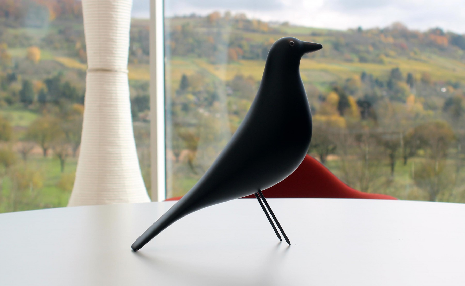 black-bird-design