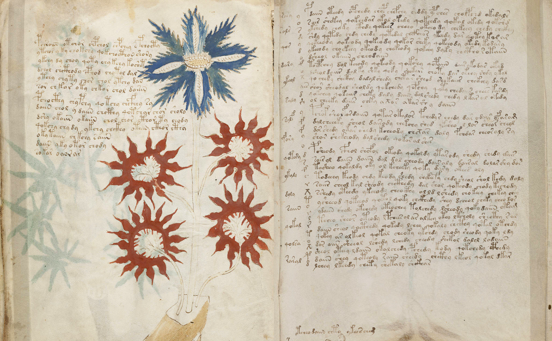 Manuscrit de Voynich