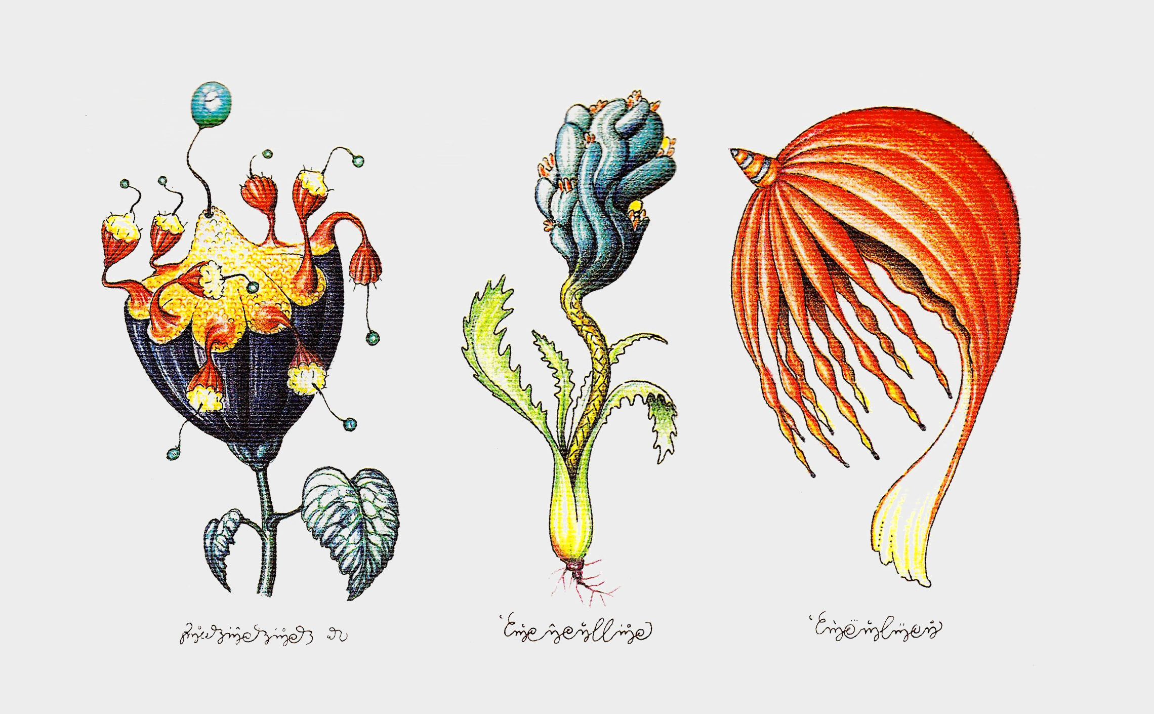 luigi serafini codex seraphinianus 