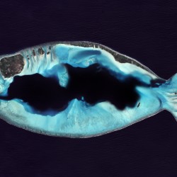 poisson d'avril photographie aérienne