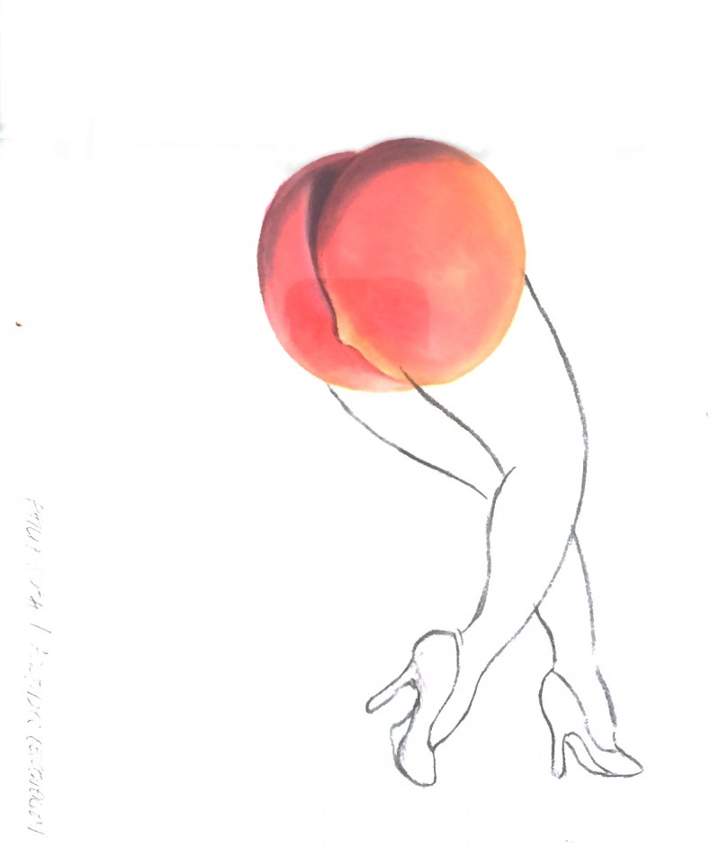 jambe-fesse-abricot-dessin-erotique