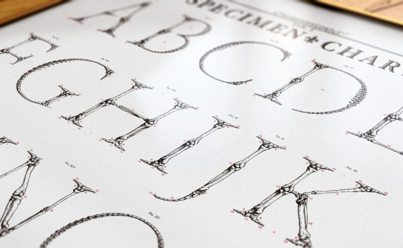 Garamond Corpvs, un alphabet qui a du corps