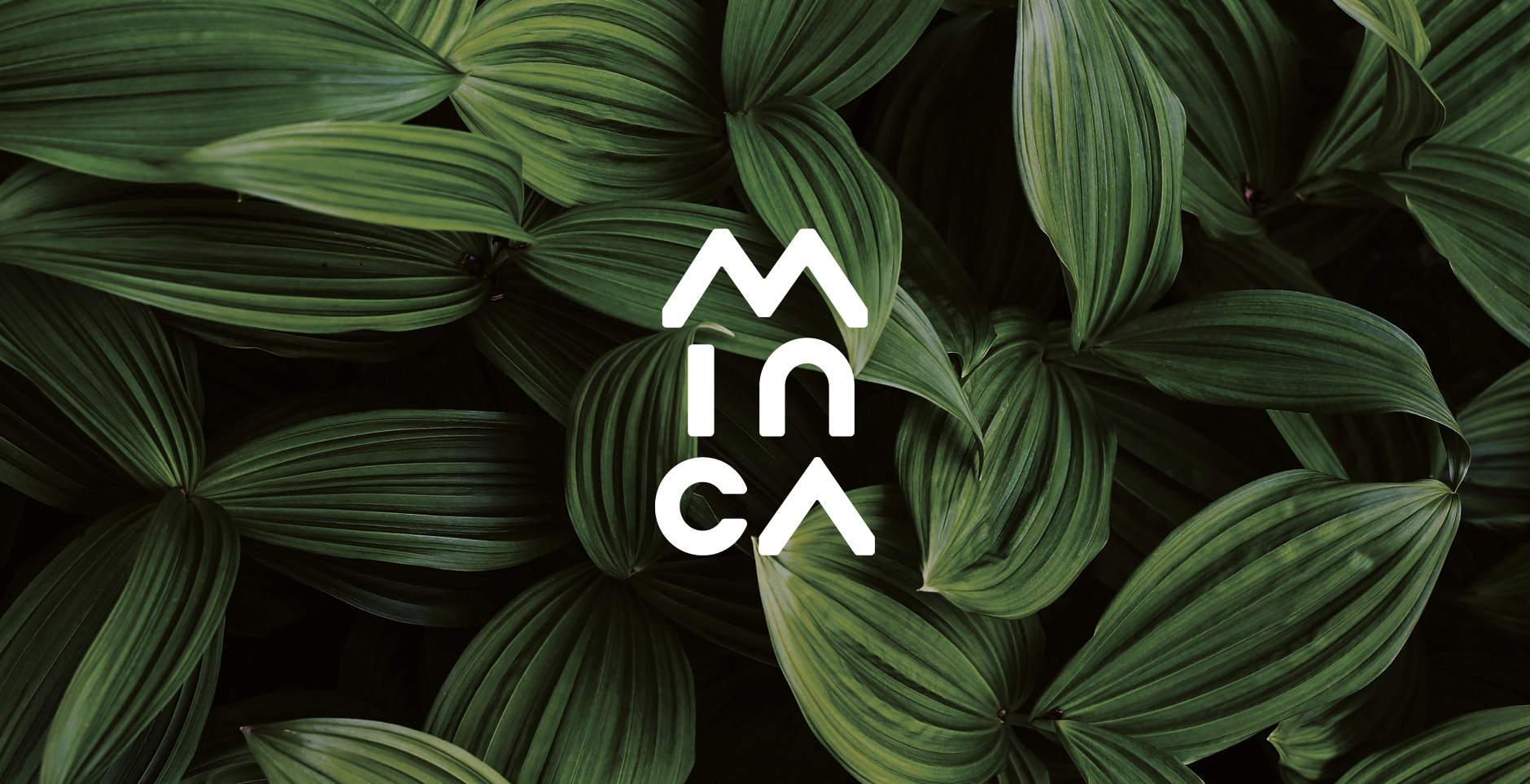 Minca_case_study