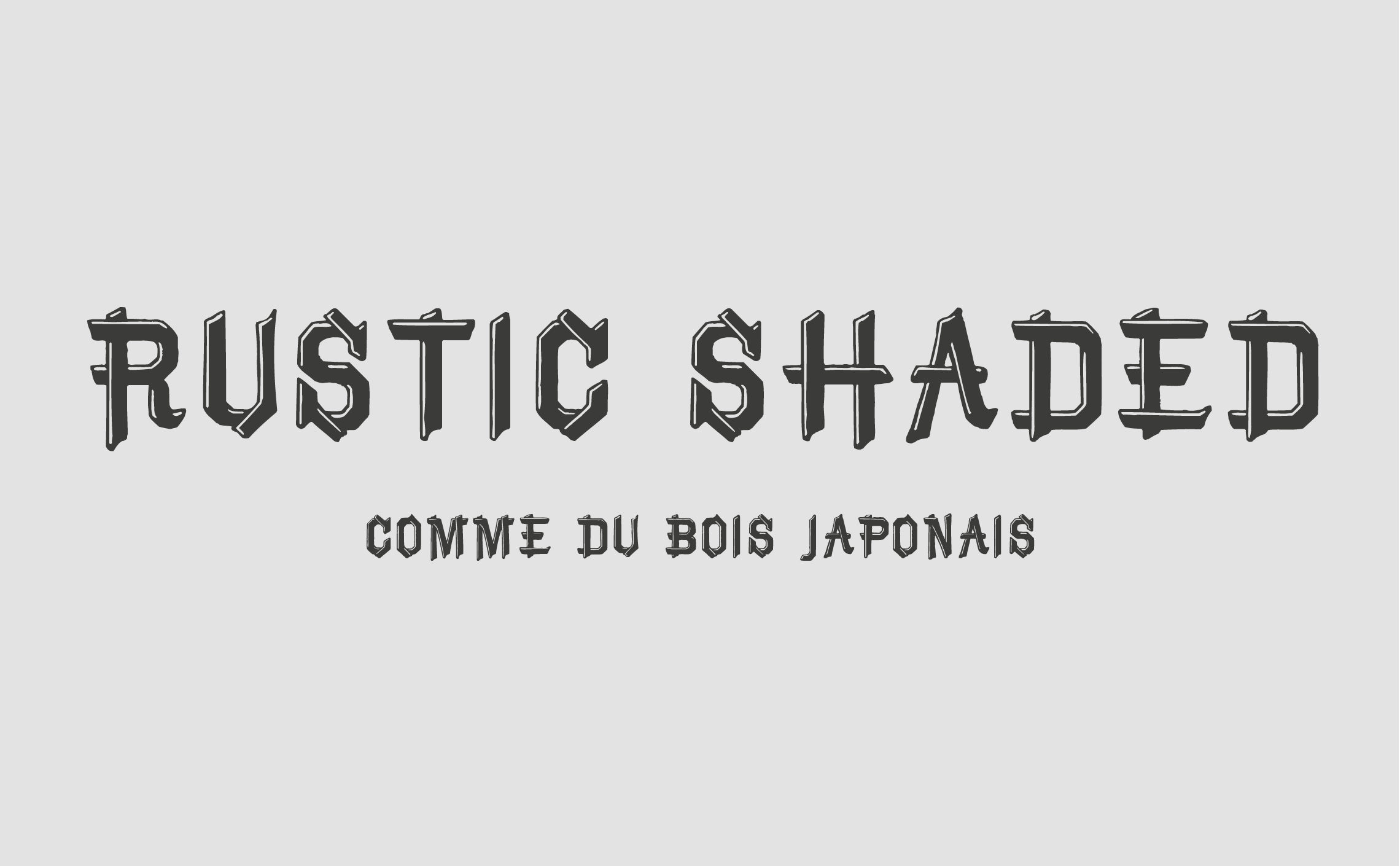 Bruce-mikita-rustic-shaded-stereotypographie-japonaise
