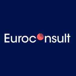 Euroconsult branding space logo earth