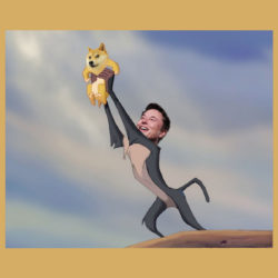 meme-elon-musk-dogecoin