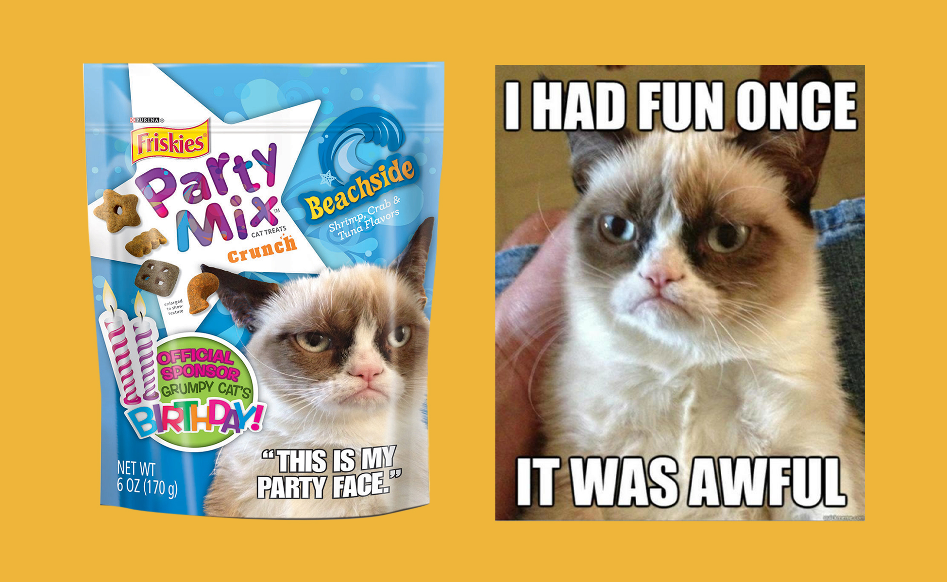 grumpy-cat-friskies