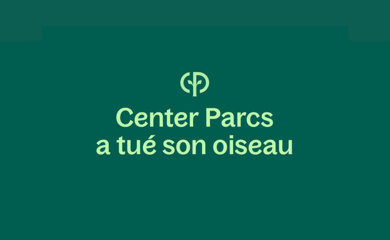 Le nouveau logo de Center Parcs a chassé son oiseau