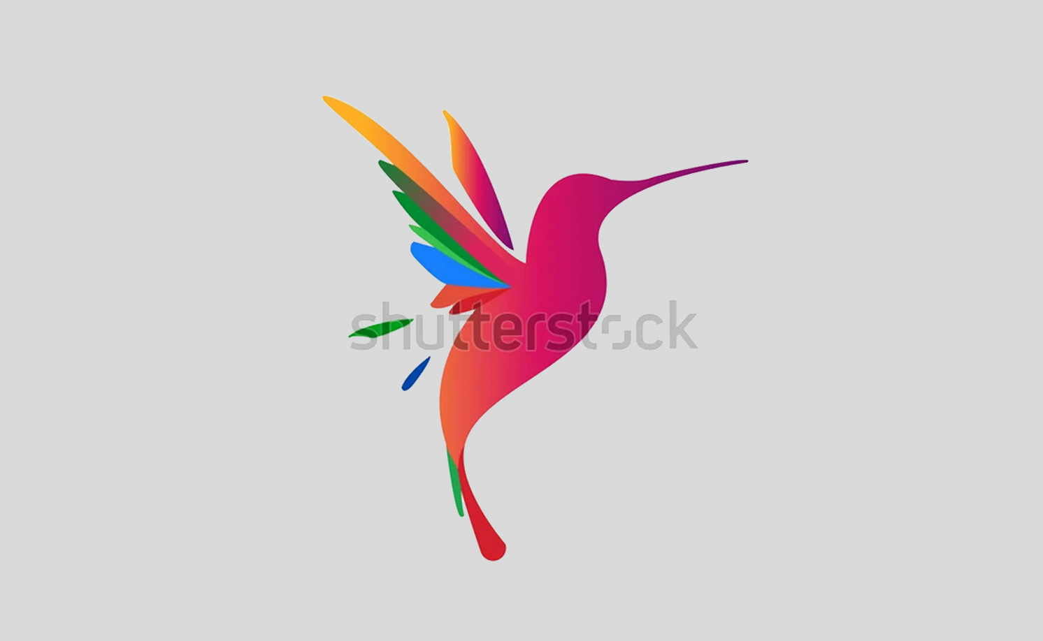 colibri-shuterstock-drapeau-martinique