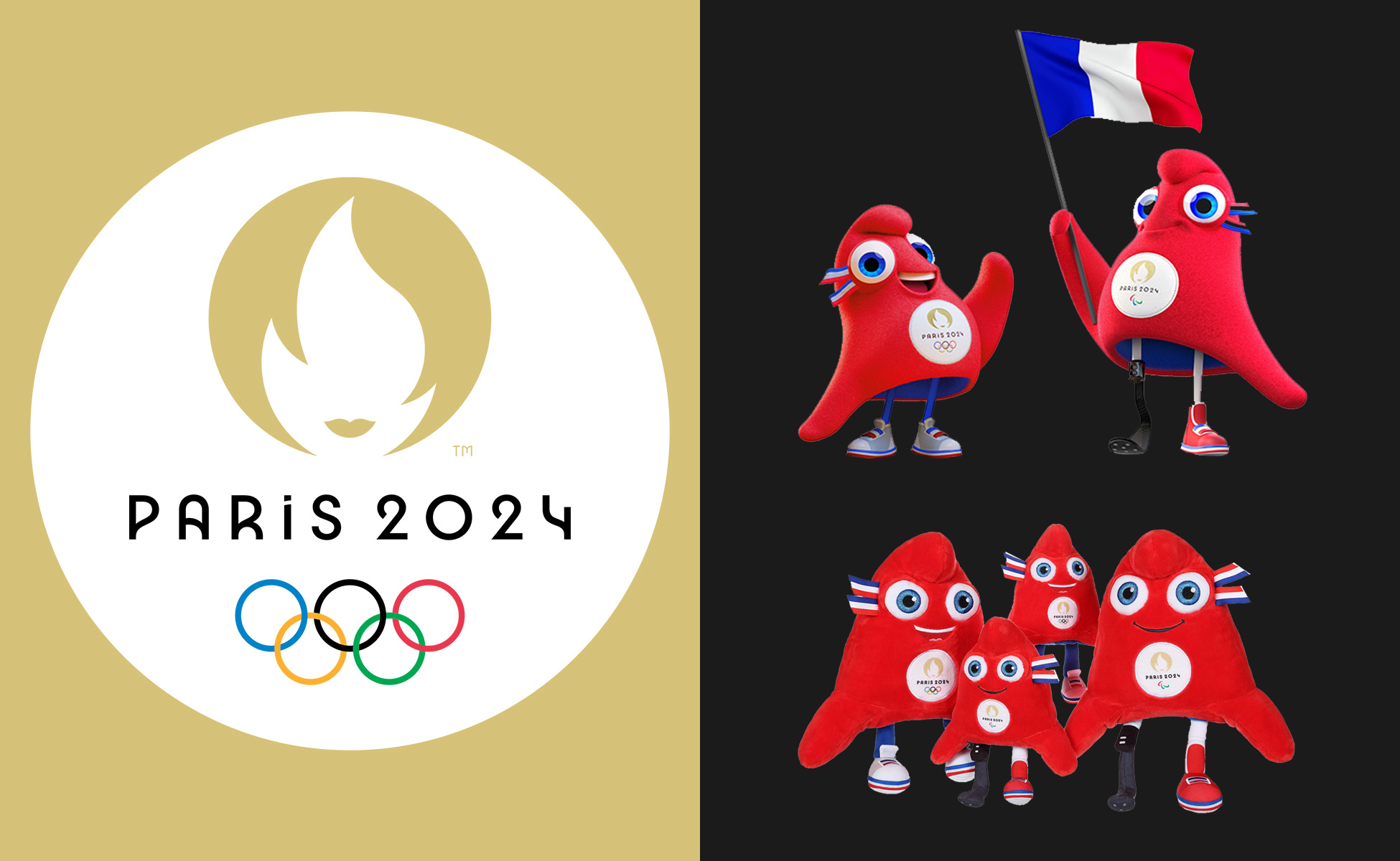 The 2024 Olympic Games will not get a gold medal for their pictograms