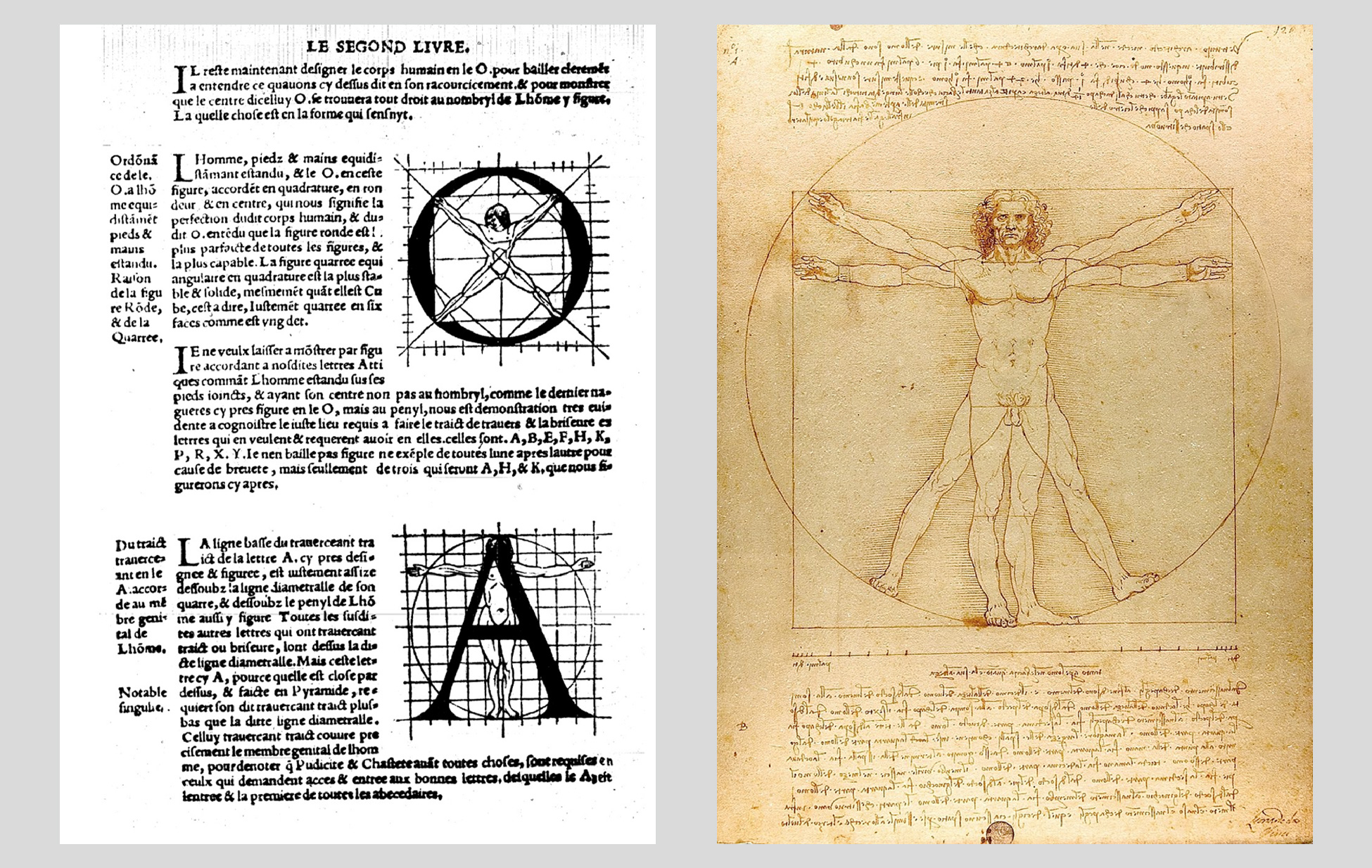 etudes-proportions-capitale-romaine-homme-vitruve-XV-siecle