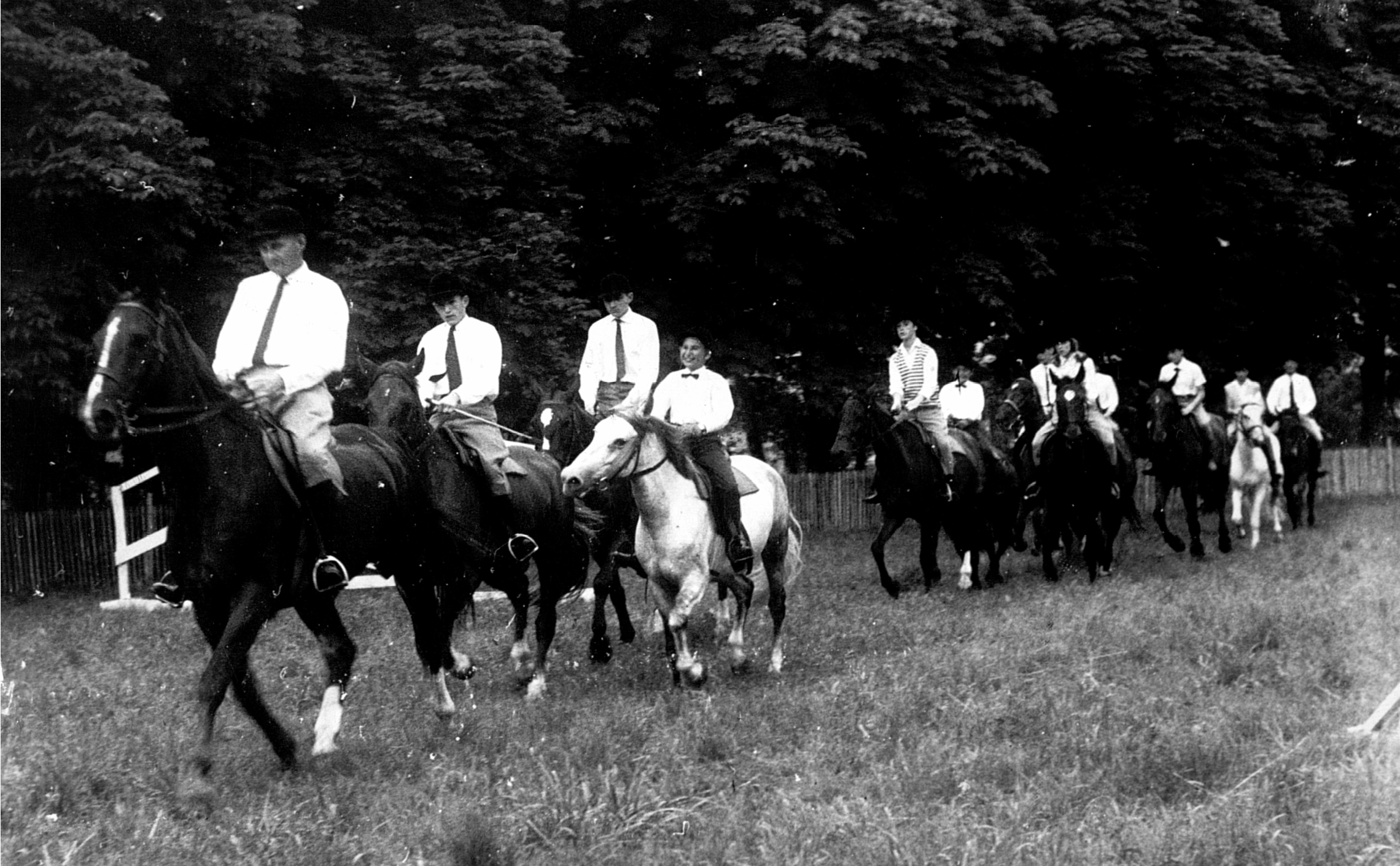 Haras-Annecy-identite-visuelle-archives