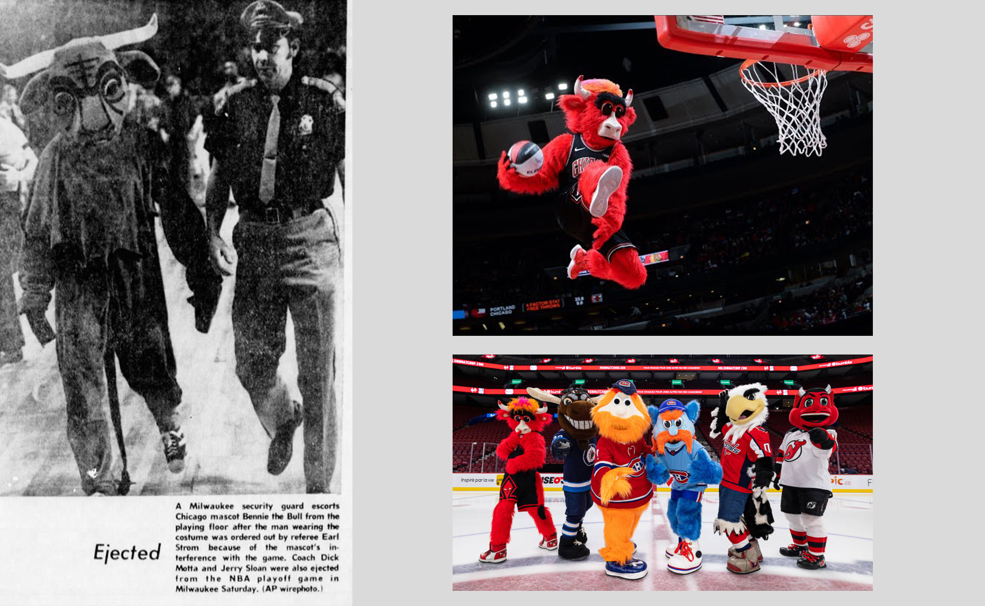 benny-bull-mascottes-nba-hockey