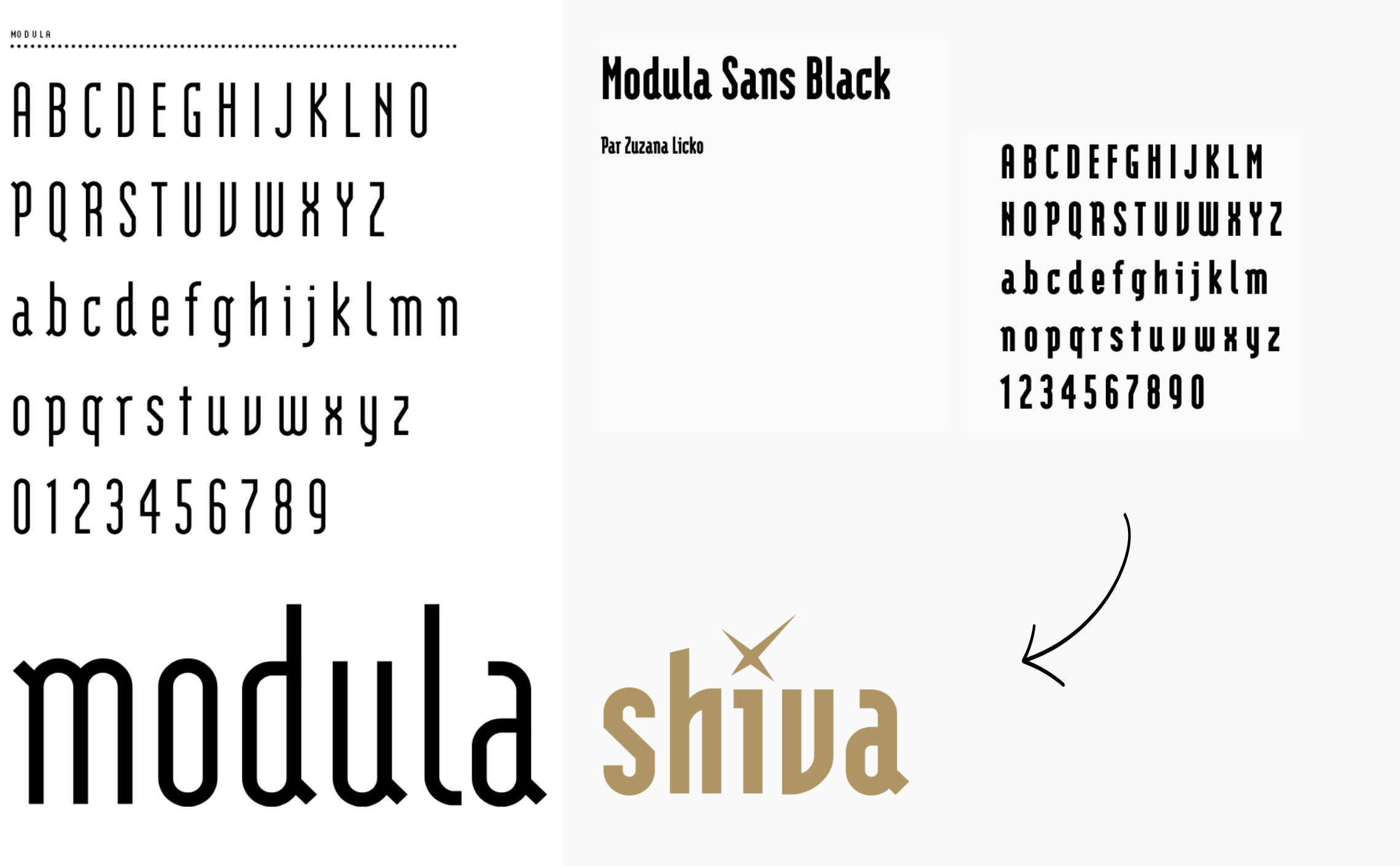 logo-shiva-modula-licko.png