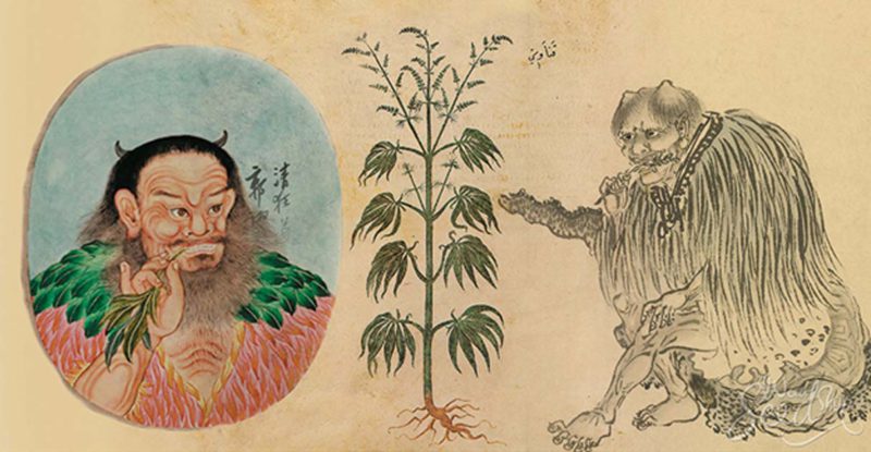 chine-cannabis