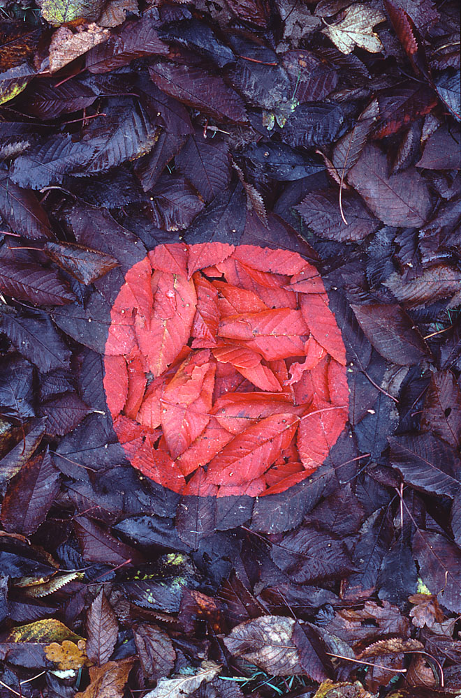 land-art-Andy-Goldsworthy