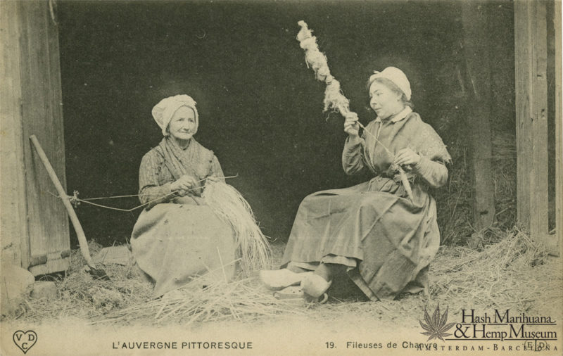 culture-chanvre