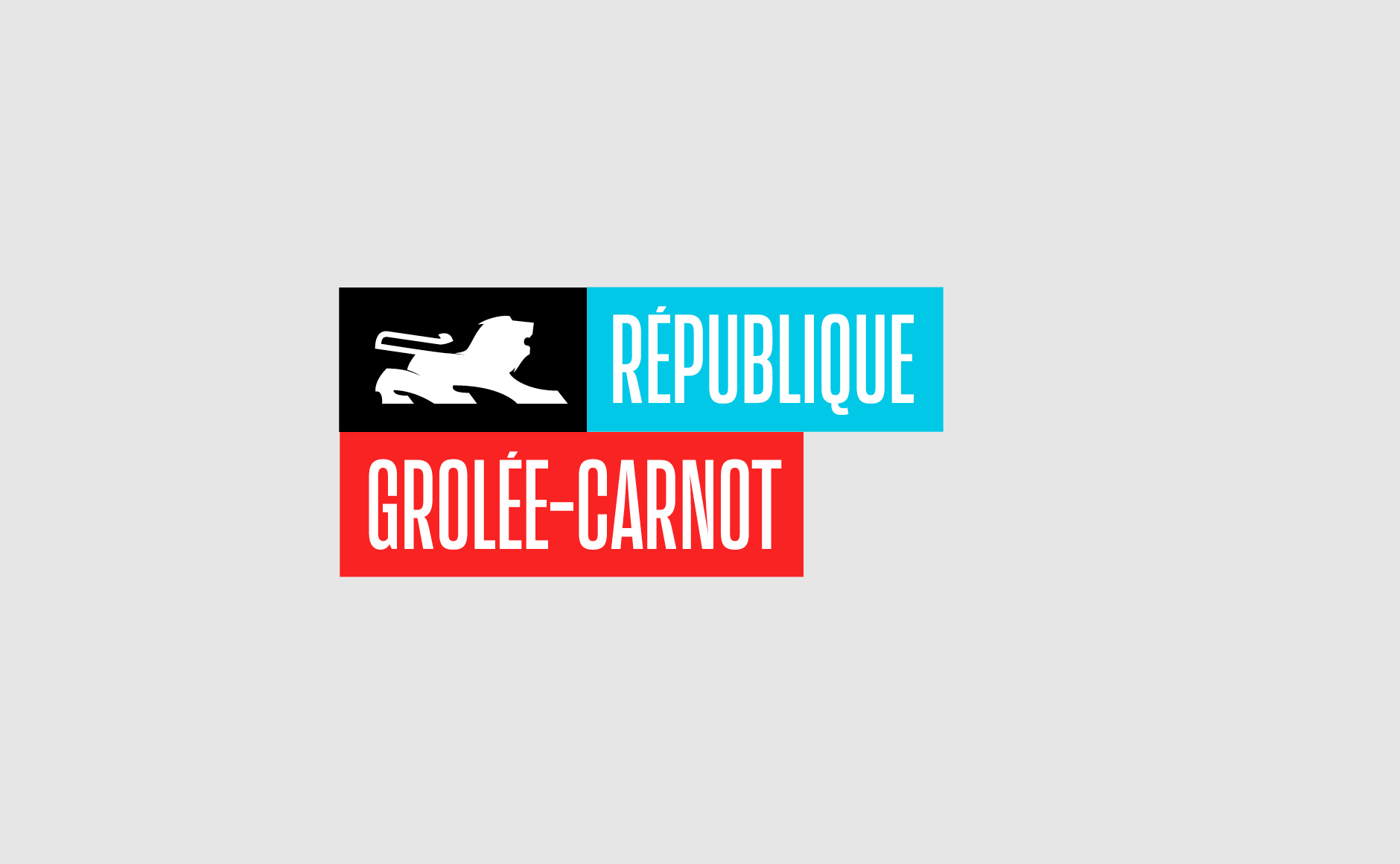 branding modulaire rouge et bleu