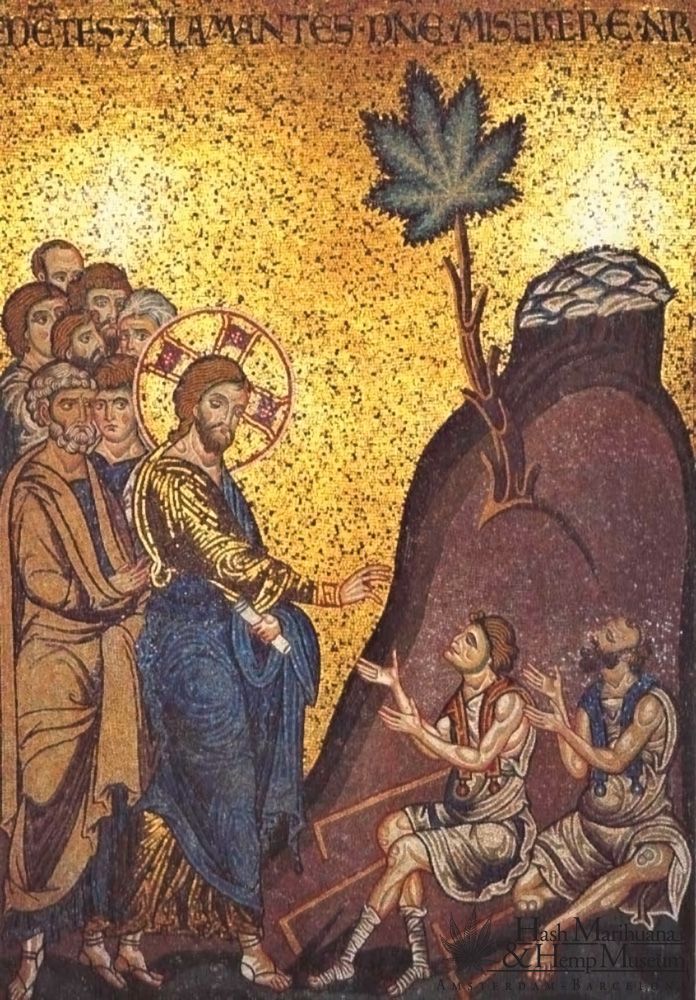 jesus-cannabis