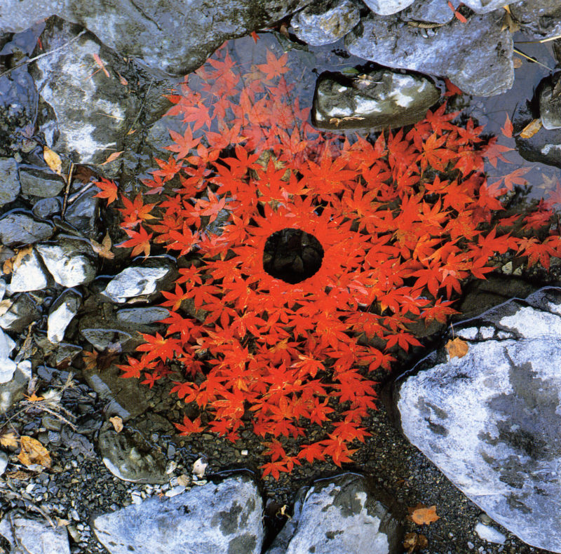 land-art-Andy-Goldsworthy