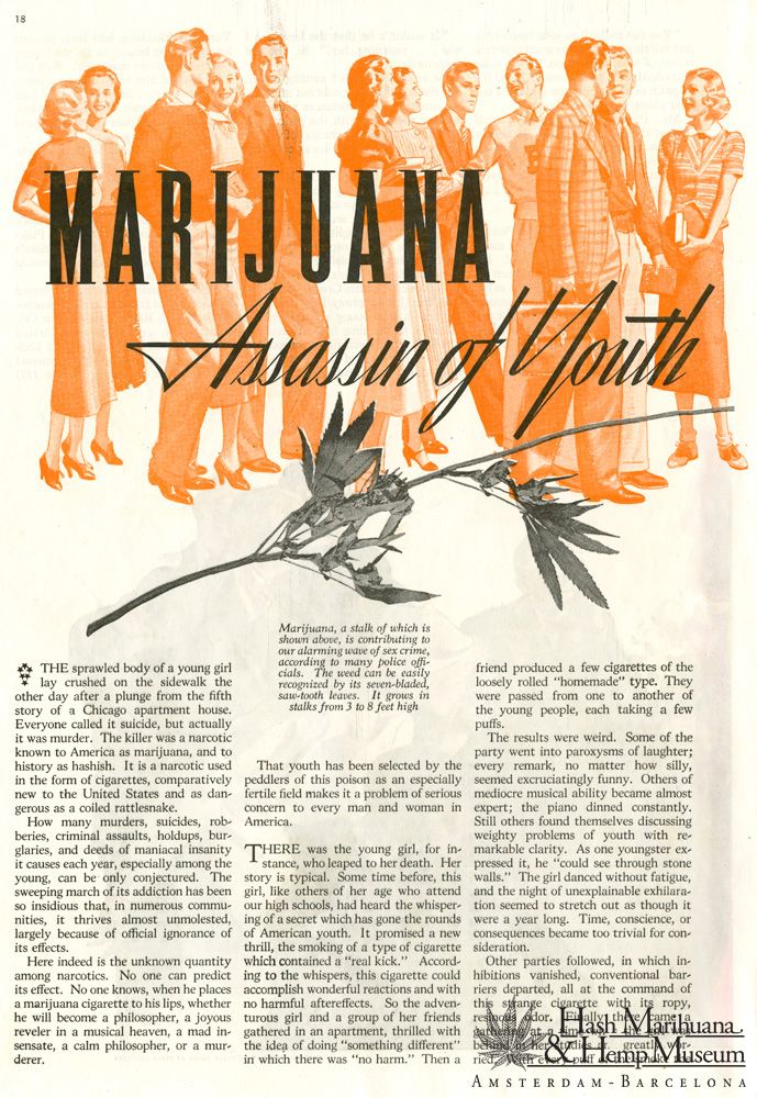 marijuana-interdiction-USA